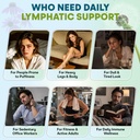 lymphatic-drainage-supplements-lymph-sys-4.jpg