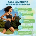 lymphatic-drainage-supplements-lymph-sys-2.jpg