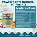 lymphatic-drainage-supplements-lymph-sys-6.jpg
