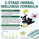 240-softgels-lymphatic-drainage-suppleme-5.jpg