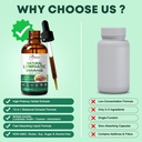 vitaharbor-lymphatic-drainage-supplement-5.jpg