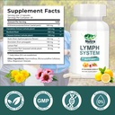 lymphatic-drainage-supplement-with-dande-2.jpg