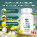 lymphatic-drainage-supplement-with-dande-4.jpg
