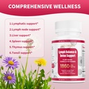 lymphatic-drainage-supplements-1860mg-ly-3.jpg