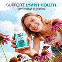 lymphatic-drainage-supplements-natural-h-6.jpg