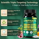 lymphatic-drainage-supplements-18-in-1-h-4.jpg