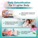 lymphatic-drainage-supplements-natural-h-4.jpg