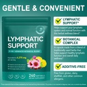 lymphatic-drainage-supplements-lymphatic-4.jpg