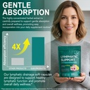 lymphatic-drainage-supplements-lymphatic-5.jpg