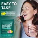 lymphatic-drainage-supplements-lymphatic-6.jpg