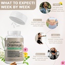 lymphatic-drainage-capsules-lymphatic-dr-6.jpg
