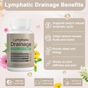 lymphatic-drainage-capsules-lymphatic-dr-3.jpg