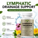 lymphatic-drainage-supplements-capsules--2.jpg