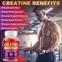 creatine-monohydrate-gummies-infused-wit-3.jpg