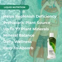 youngevity-plant-derived-minerals-multi--4.jpg