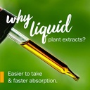 herb-pharm-certified-organic-vervain-liq-3.jpg