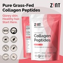 zint-collagen-peptides-powder-paleo-keto-2.jpg