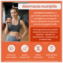 akkermansia-muciniphila-probiotic-supple-4.jpg