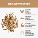 siba-ashwagandha-root-extract-1000-mg-pe-4.jpg