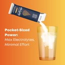 hi-lyte-hydration-bundle-pro-variety-ele-6.jpg