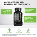 davinci-labs-phyto-benefits-supports-hea-3.jpg