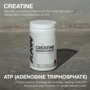 raw-nutrition-creatine-monohydrate-orang-3.jpg