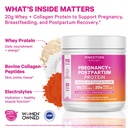 pink-stork-pregnancy-postpartum-protein--2.jpg