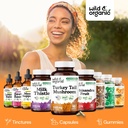 wild-organic-turkey-tail-mushroom-capsul-6.jpg