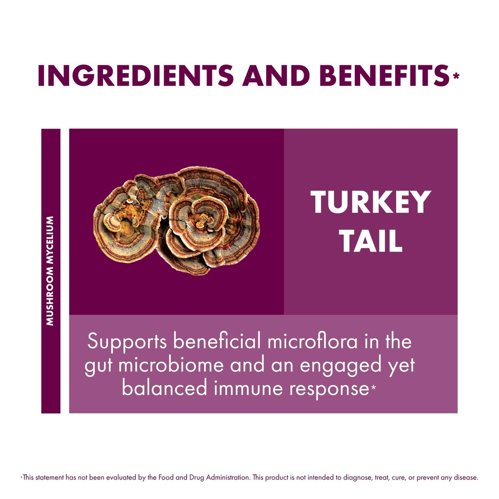 host-defense-turkey-tail-capsules-240-ct-6.jpg