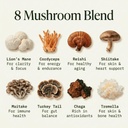 fantastic-fungi-mushroom-extract-with-li-4.jpg
