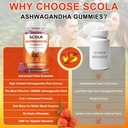 ashwagandha-gummies-calm-gummies-with-as-4.jpg
