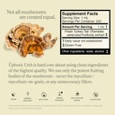 turkey-tail-mushroom-extract-double-extr-6.jpg