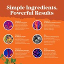 bundle-of-multivitamin-gummy-with-b12-bi-6.jpg