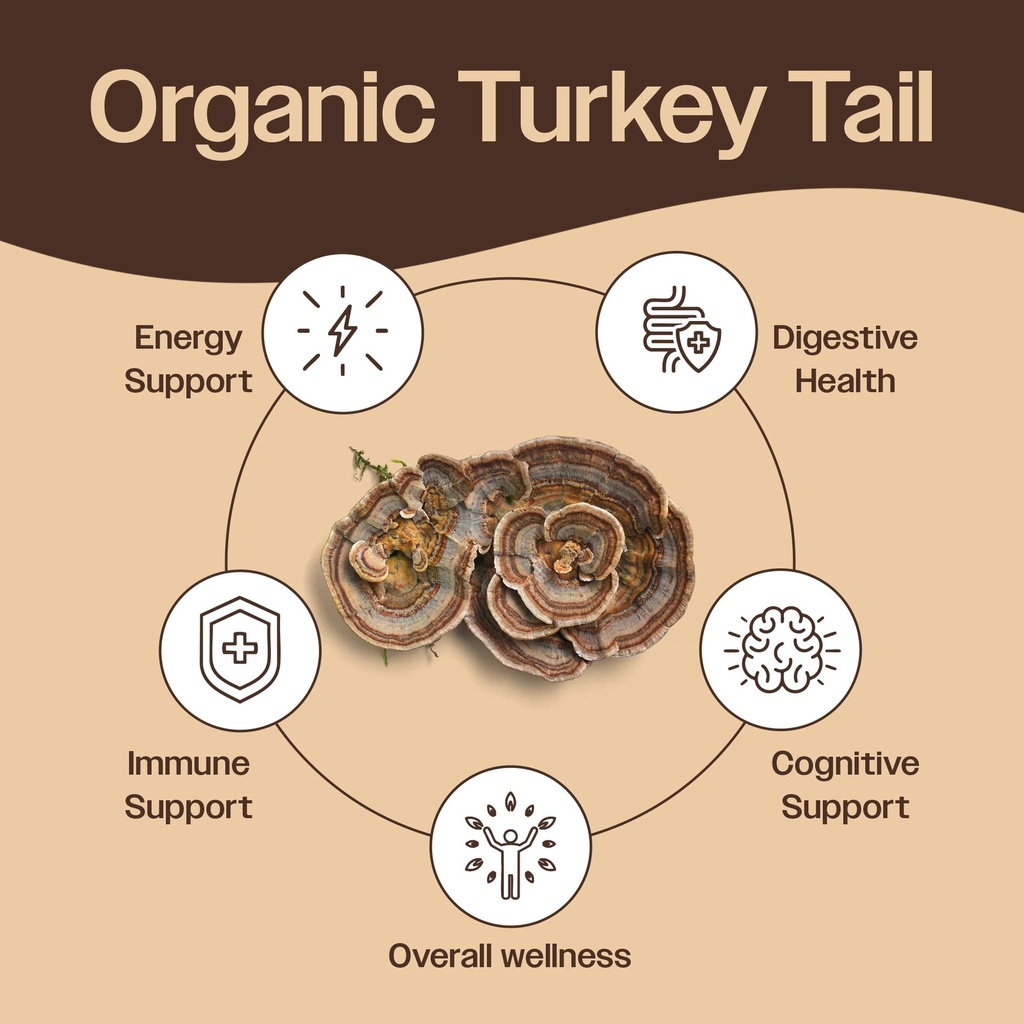 turkey-tail-mushroom-powder-organic-mush-2.jpg