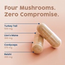 nativepath-mushroom-complex-and-collagen-3.jpg