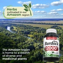 fito-medic-s-lab-burdock-root-burdock-ro-4.jpg