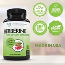 berberine-with-ceylon-cinnamon---1200mg--4.jpg