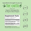 happy-healthy-hippie-zen-again-cortisol--3.jpg