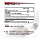 pmd-sports-cg5-premium-creatine-and-l-gl-2.jpg