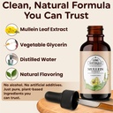 lung-naturals-mullein-drops-10-1-concent-4.jpg