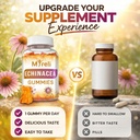 echinacea-1000mg-gummies-supplement-herb-5.jpg