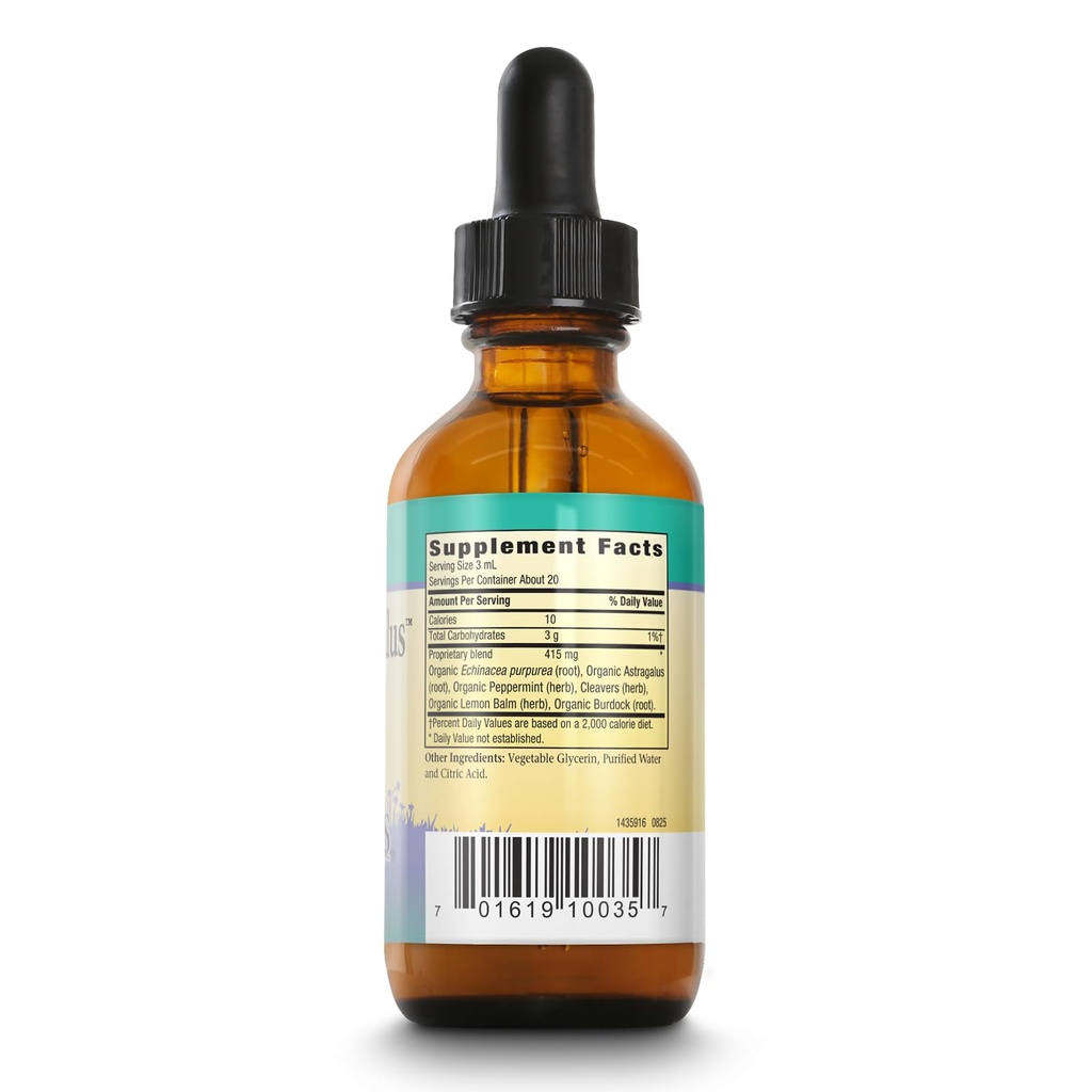 herbs-for-kids-echinacea-astragalus-orga-2.jpg