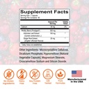 sibo-bloating-bundle-by-dr-rajsree-essen-5.jpg