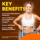 hypo-burn-capsules-premium-blend-for-a-b-5.jpg