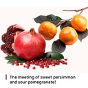 sweet-persimmon-pomegranate-elastin-coll-6.jpg