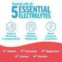 force-factor-liquid-labs-electrolytes-po-2.jpg