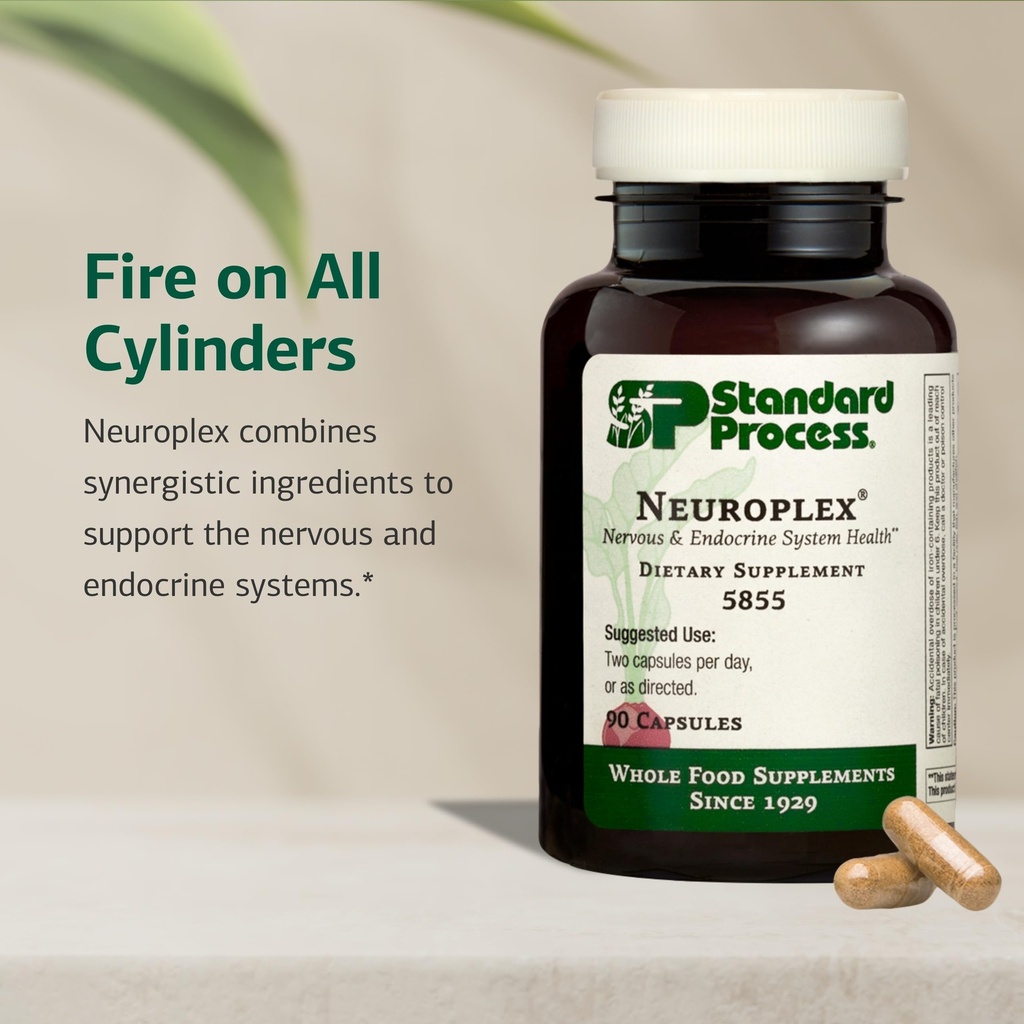 standard-process-neuroplex-supports-nerv-3.jpg