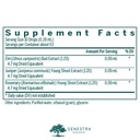 genestra-brands-acn-gen-elm-juniper-and--2.jpg
