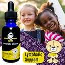 cedar-bear-lymphatic-cleanse-for-kids-li-3.jpg