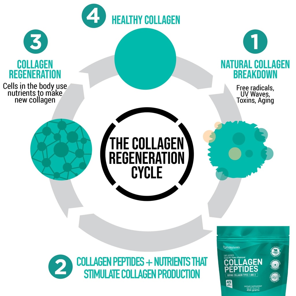 phinaturals-hydrolyzed-collagen-powder-s-5.jpg